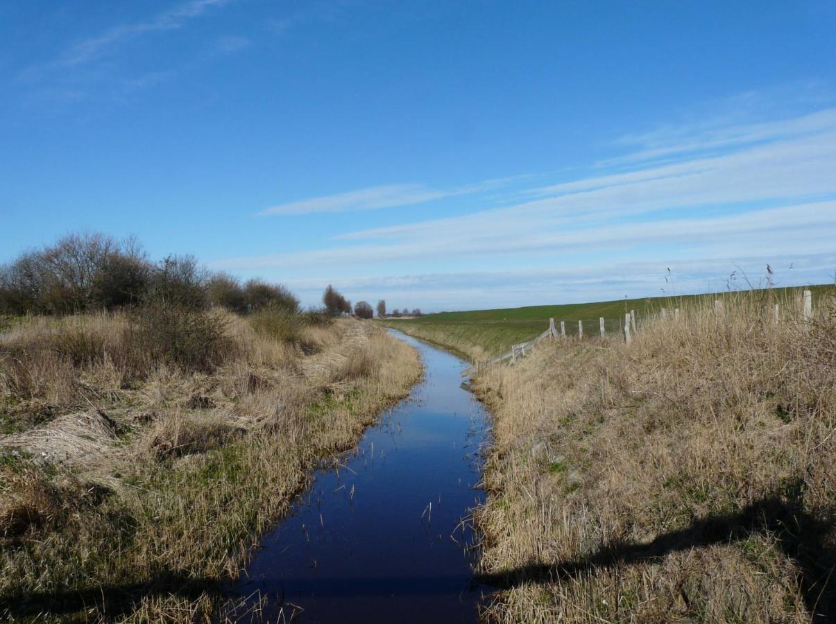 Appartement Haus Am Teich - Teichblick à Fehmarn Extérieur photo