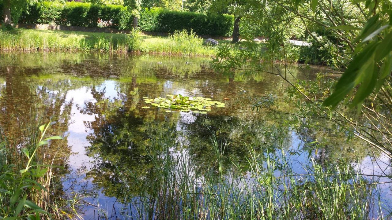 Appartement Haus Am Teich - Teichblick à Fehmarn Extérieur photo